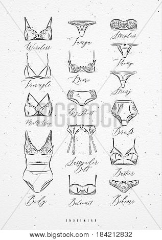 Poster classic underwear in vintage style drawing with lines