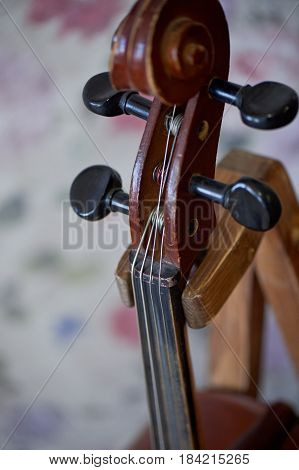 Grif old brown violin. Be on the bright background Wallpaper. Close
