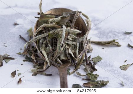 Leaves Of White Tea In A Spoon On A White Background. Tea In An Antique Spoon.