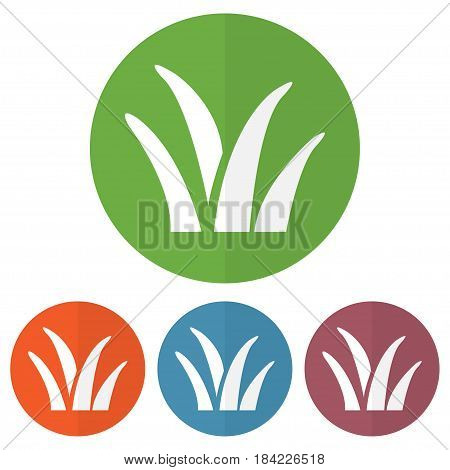Set of grass icon on a colorful circles. Vector illustration