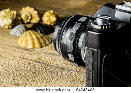 Old fotocamera with sea shells on the brown wooden background