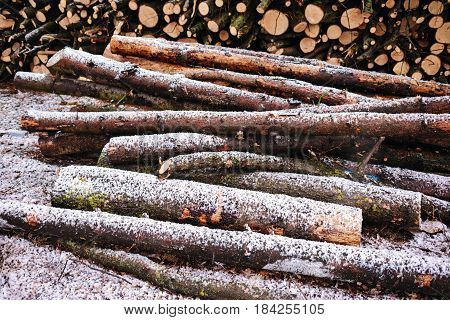 Pile Of Chopped Fire Wood Prepared For Winter