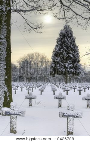 Kors og træer dækket med sne vinter kirkegård krigsmindesmærke