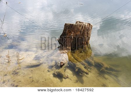Anegadas viejo tocón de un árbol en un lago del bosque