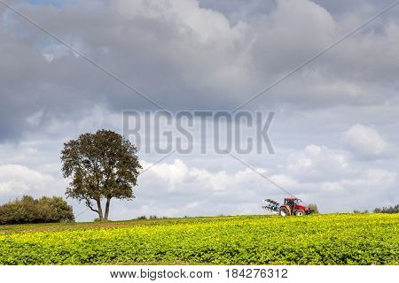 Farmer Is Ploughing His Acres With The Traktor