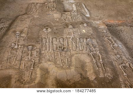 Remains of a Skeleton in Portuguese settlement n Ayutthaya Historical Park, Thailand