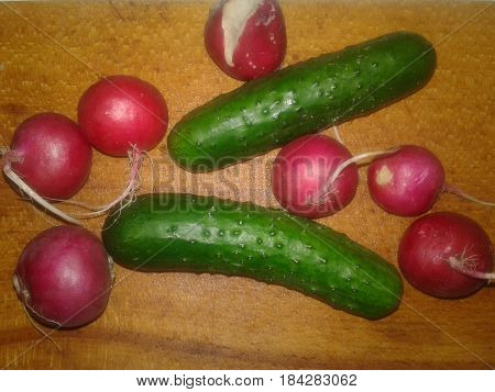 Radish the most precocious and early spring vegetables with bright color and slightly burning taste that give mustard oil Cucumber is the subject of agricultural greenhouse cucumbers herb widely used in cooking