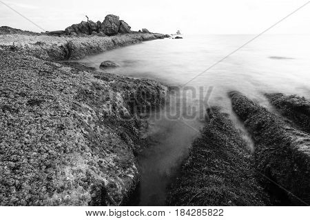 Beautiful Seascape,Ocean & Rocks at Sunset in black & white image.Known as Bonsai lonely tree Layang Layangan & lconic landmark in Labuan island,Malaysia.