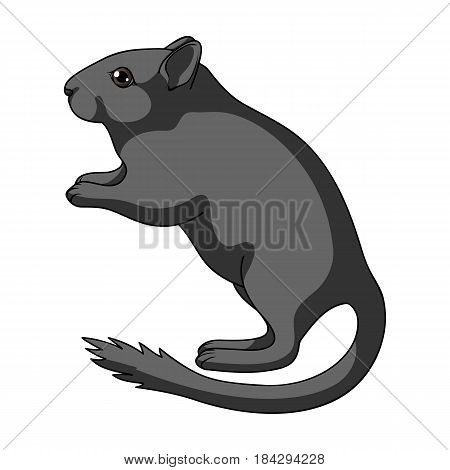 Gray gerbil.Animals single icon in cartoon style vector symbol stock illustration .