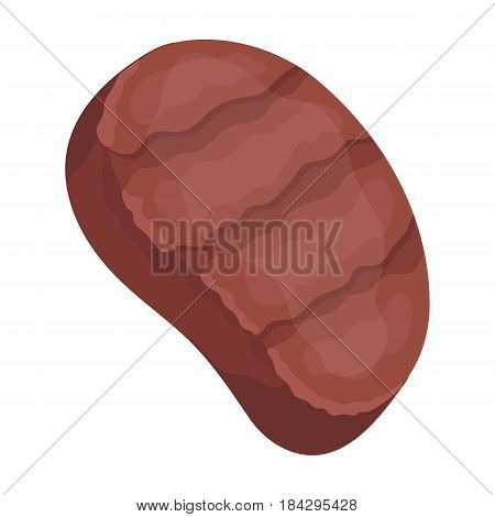 Fried steak.BBQ single icon in cartoon style vector symbol stock illustration .
