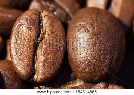 Two brown roasted coffee beans close-up macro photo natural food background selective focue shallow depth of field.