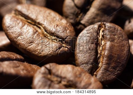 Brown roasted coffee beans close-up macro shot natural food background selective focue shallow depth of field.
