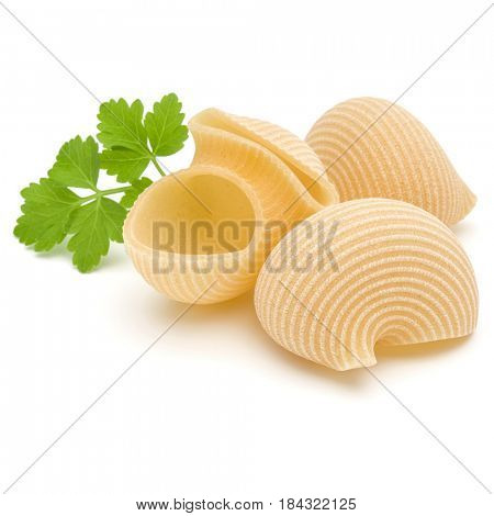Italian lumaconi isolated on white background. Lumache, snailshell shaped pasta.