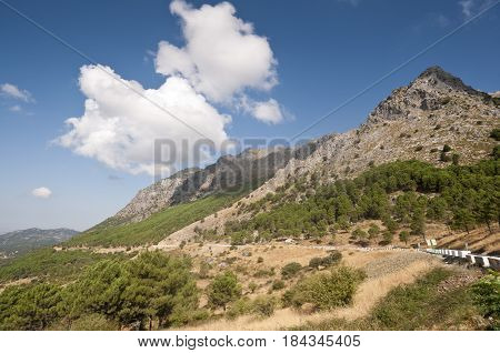 Views of Grazalema Natural Park from Boyar Mountain Pass, Cadiz, Andalusia, Spain