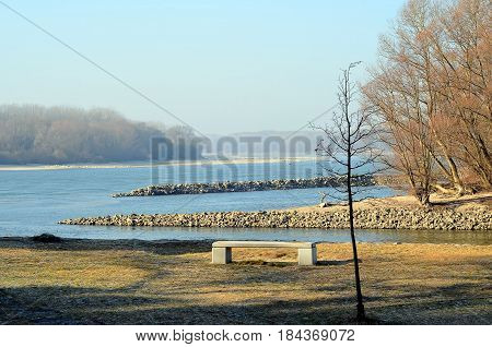 Danube And Morava River Confluence Near Bratislava City With Tree