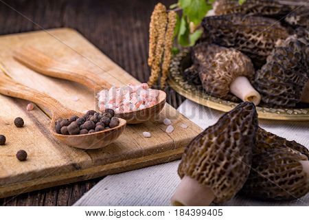 Fresh Morchella Conica, Seasonal Mushrooms