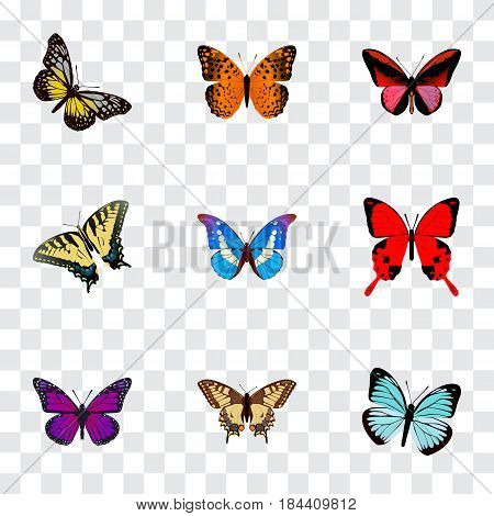 Realistic Tiger Swallowtail, Purple Monarch, Summer Insect And Other Vector Elements. Set Of Moth Realistic Symbols Also Includes Orange, Beauty, Sky Objects.