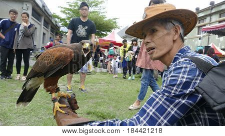 Hualien County Culture Creative Original Eagle Show