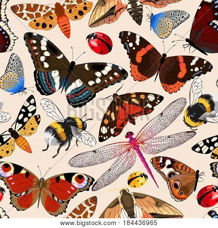 Different high detailed insects vector seamless background