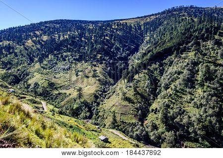 Road winds through forested hills in highlands of Huehuetenango, Guatemala, Central America