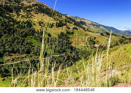 Road winds through forested hills in highlands of Huehuetenango, Guatemala, Central America