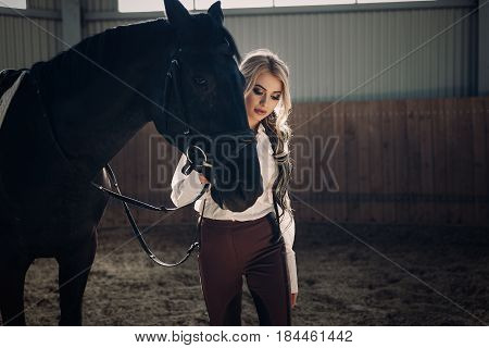 Beautiful elegant young blonde girl standing near her black horse dressing uniform competition white blouse shirt and brown pants. Indoor portraite in riding hall.