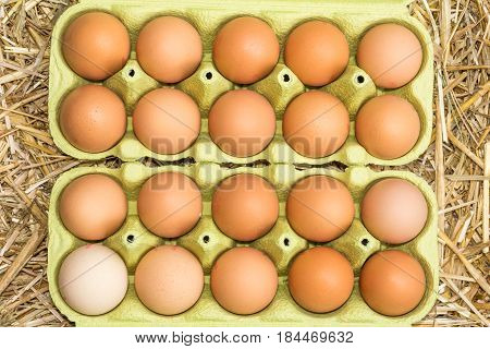 Freerange fresh raw eggs in recycled paper egg cartons or on the straw.