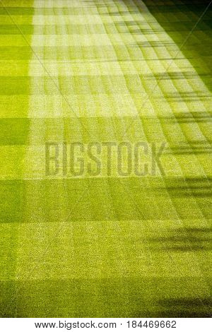 eautiful pattern of fresh green grass for football sport