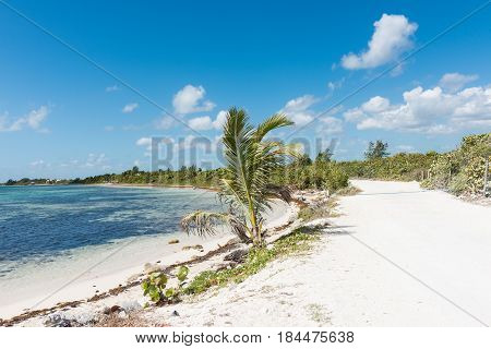 The beach in Mahahual, Quintana Roo, Mexico