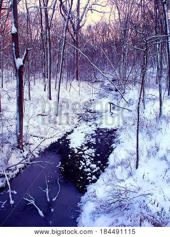 Snow covered stream and forest scenery of Allerton Park in central Illinois
