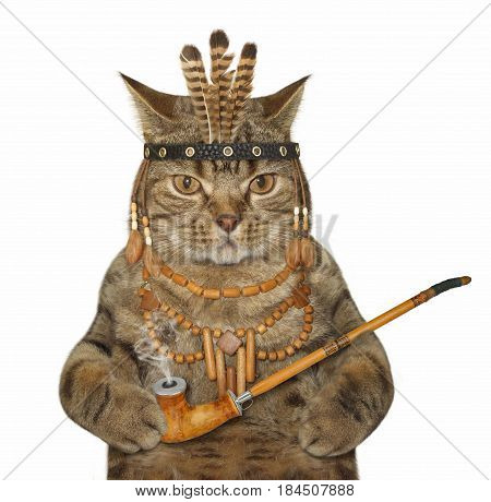 The cat indian is smoking a peace pipe. White background.