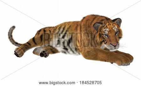 3D rendering of a big cat tiger isolated on white background