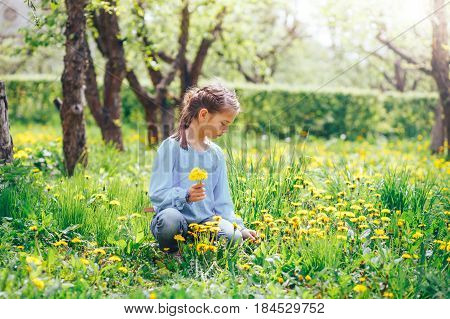 beautiful blond girl with blue eyes gathers dandelions on the meadow