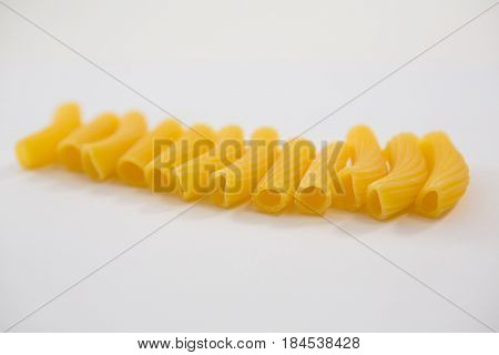 Sedani rigati pasta arranged in row on white background