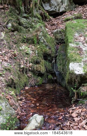 a source or fontain for water in the forest next to schwandorf in bavaria strem Goegglbach G