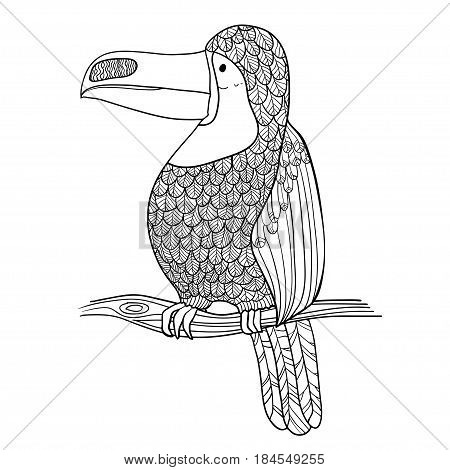Vector illustration. Graphic arts. Toucan. Tropical toucan bird. Black and white.
