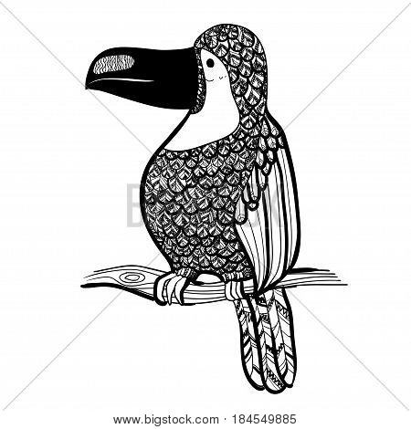 Vector illustration. Graphic arts. Toucan. Tropical toucan bird. Black and white.