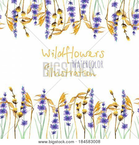 Frame border with wildflowers, dryflowers and lavender, hand drawn in watercolor on a white background, for invitation, card decoration and other works, wedding design, greeting card