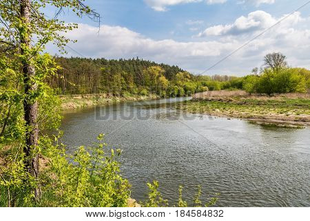 Spring Landscape With River, Forest And Blue Sky