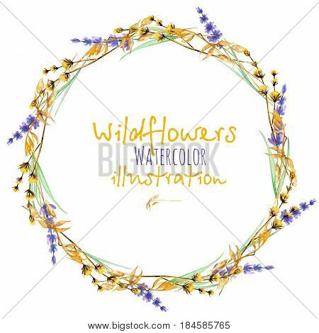 Wreath, circle frame border with yellow dry wildflowers and lavender flowers hand drawn in watercolor on a white background