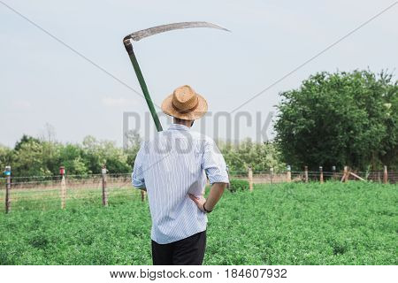 Worker with a reaper  in the field