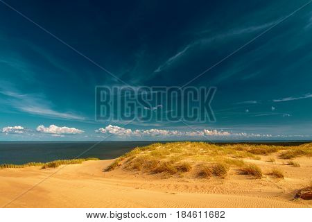 A view of the sand dunes with grass and a fence at Nida, Lithuania.