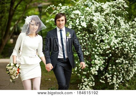 Stylish Newlyweds Walks Along The Road Sourrounded With White Blooming Bushes