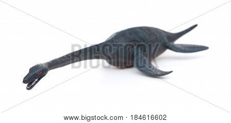 a grey plesiosaurus on a white background