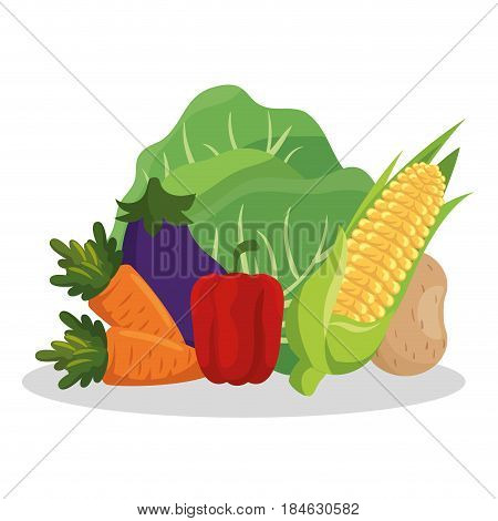 healthy food vegan icons vector illustration design