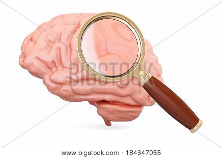 human brain with magnifier 3D rendering isolated on white background
