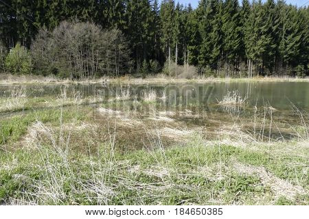 Calm Lake In The Nature