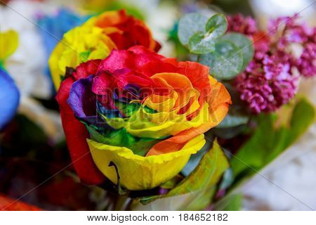Bouquet Ofcolorful Rainbow Rose