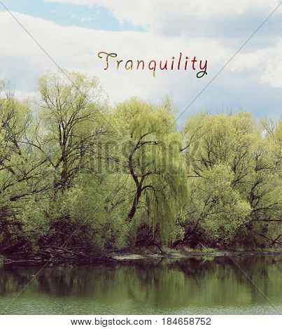 Conceptual image with big green trees and branches hanging over calm water and reflections in water. Colorful text: Tranquility.