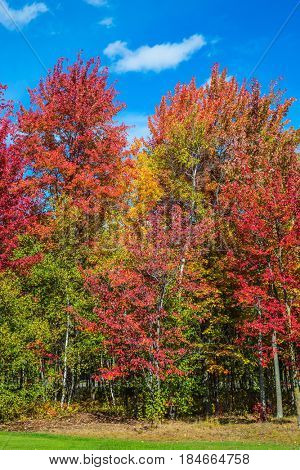 Warm sunny day on the outskirts of Montreal. Golden autumn in French Canada. The concept of automobile tourism